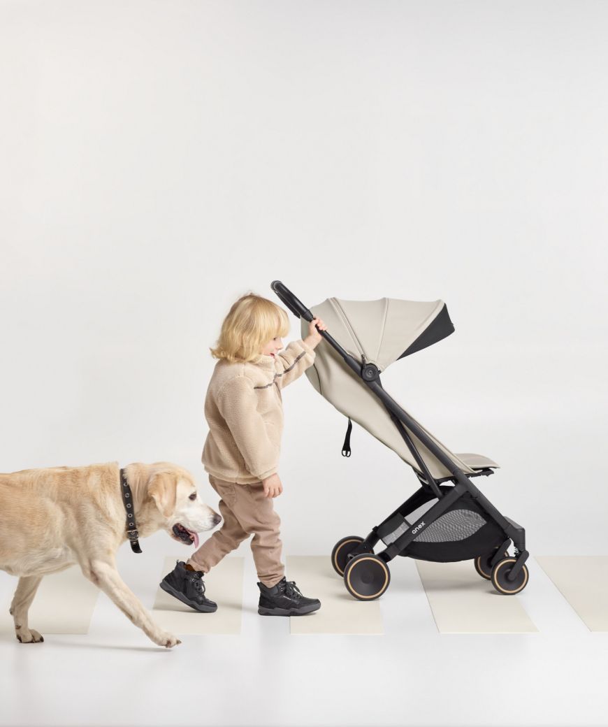 Silla Anex Air-X² Shiro