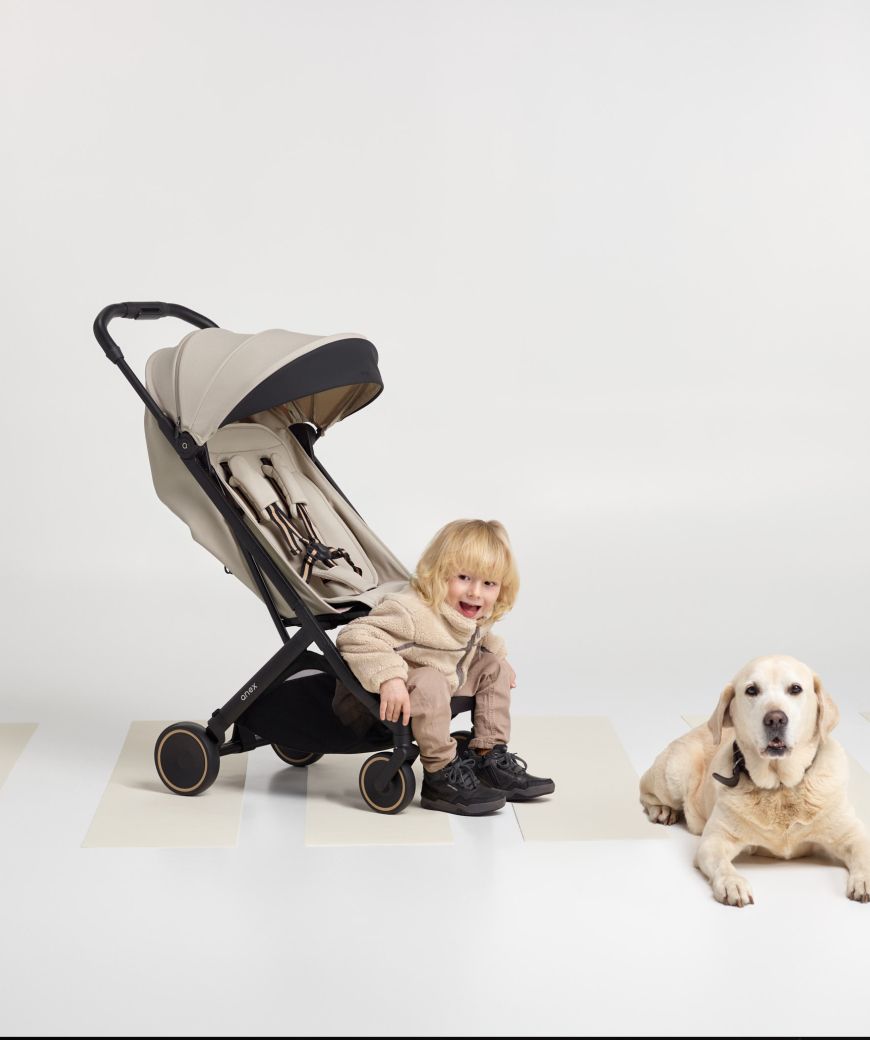 Silla Anex Air-X² Shiro