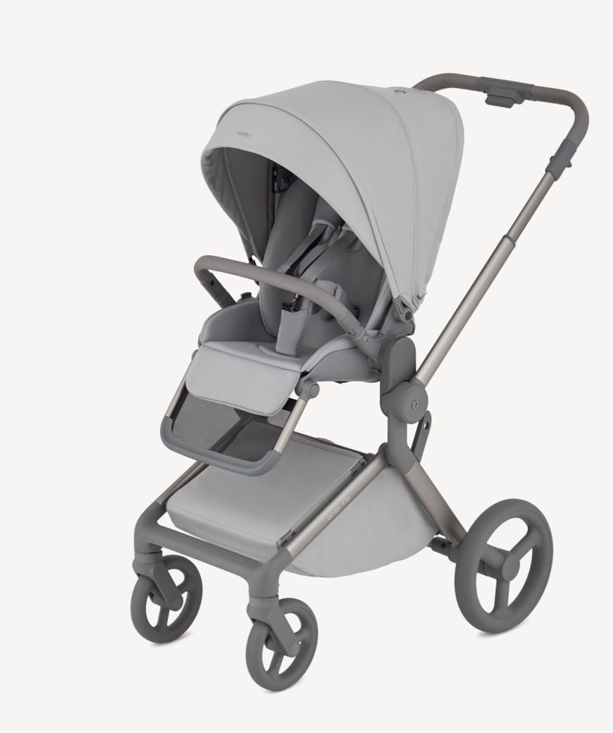 Carro de bebé Anex Flo Frossy